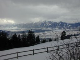 DSCN0080
